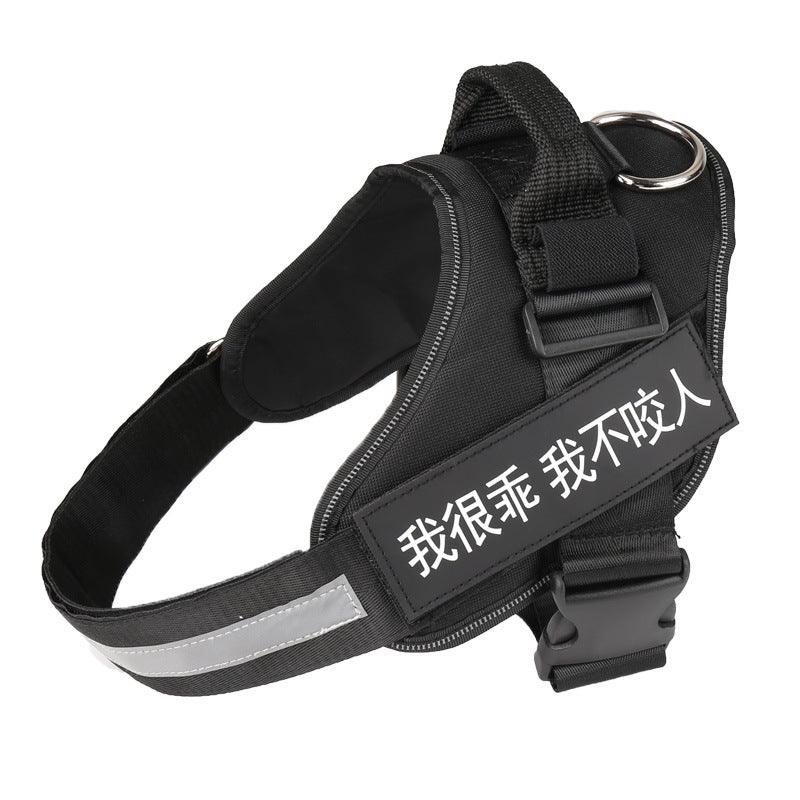 Ultimate Pet Adventure Chest Harness And Leash Set